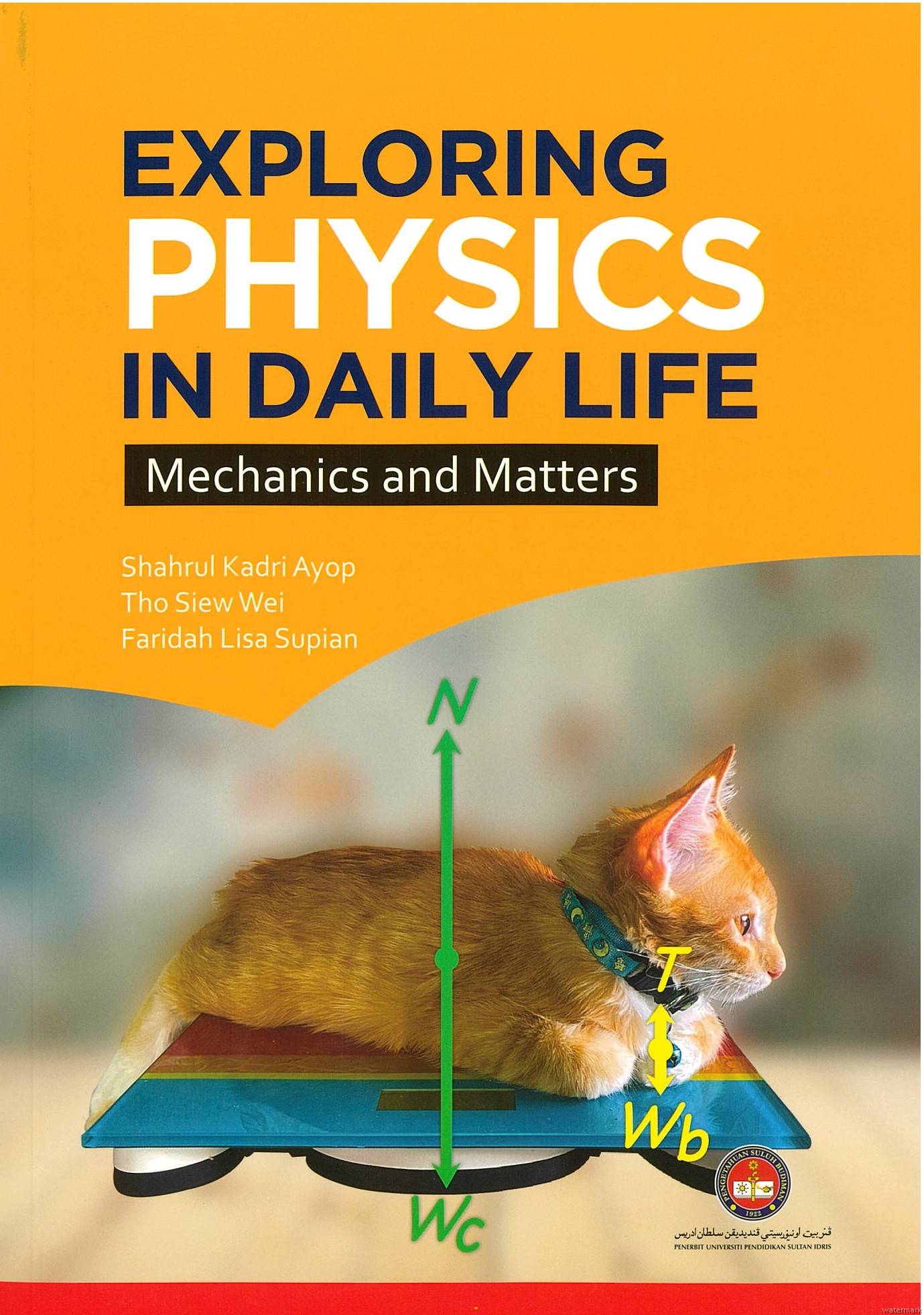 EXPLORING PHYSICS IN DAILY LIFE MECHANICS AND MATTERS